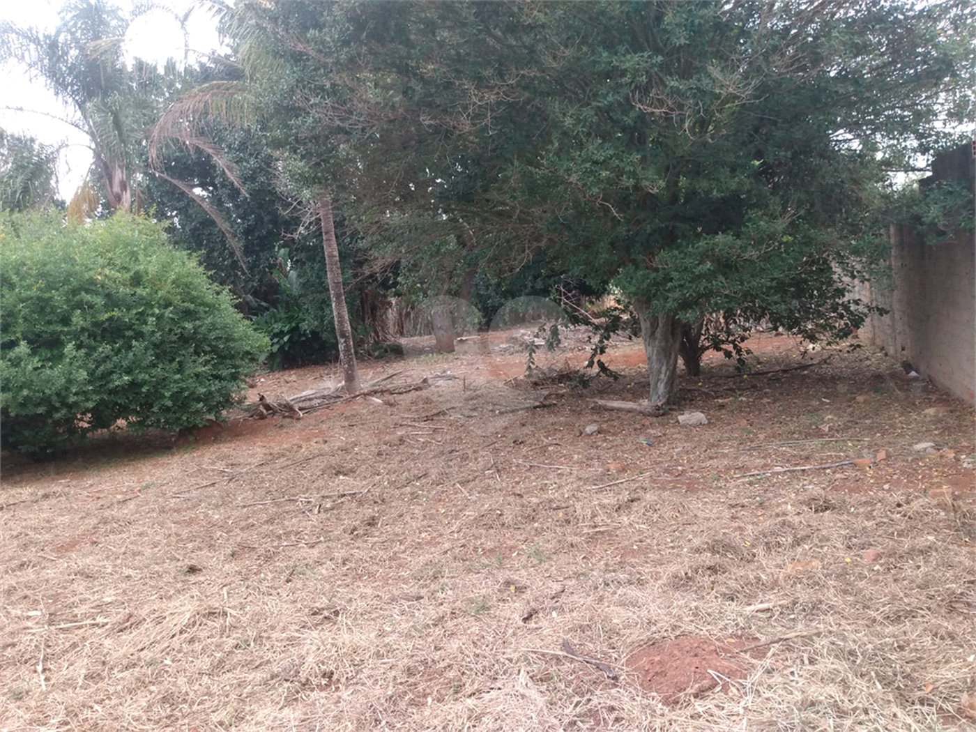 Terreno à venda em Vila Judite, Itapetininga, SP