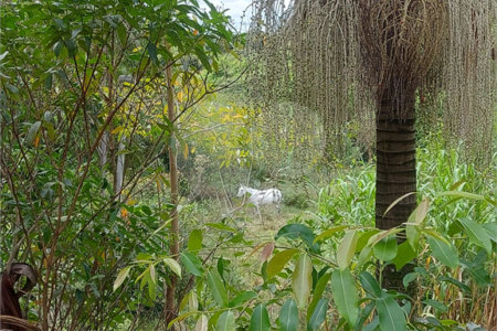 Área de Terra à venda em Éden, Sorocaba, SP