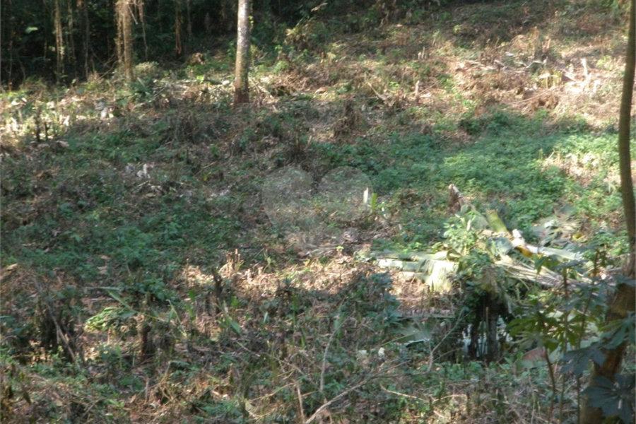 Terreno à venda em Vila Albertina, São Paulo, SP