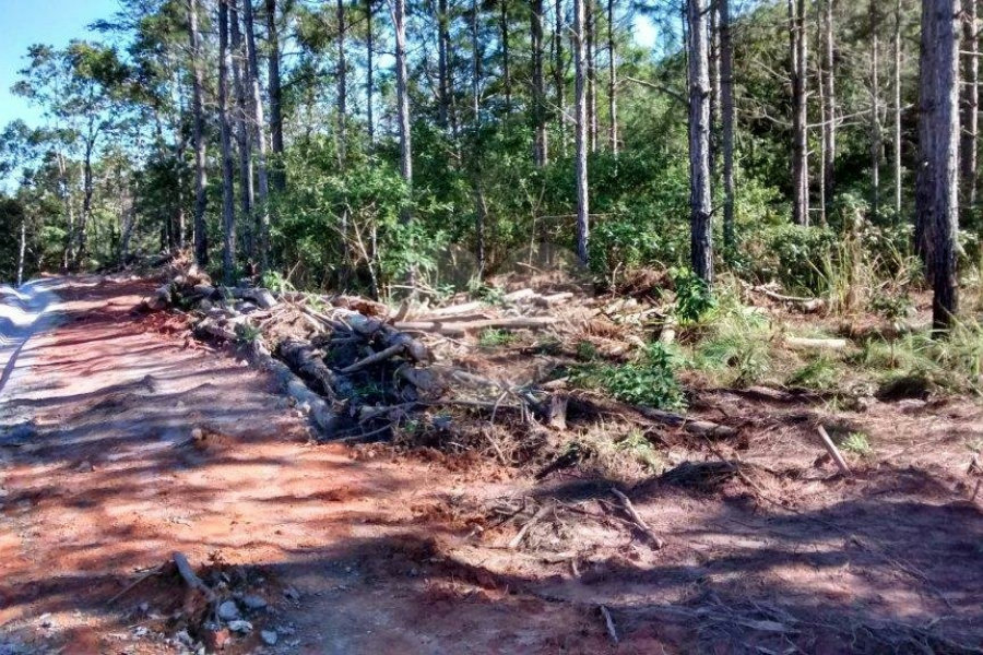 Terreno à venda em Jardim Glória, Miracatu, SP