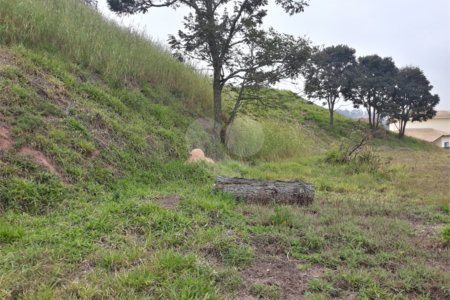 Terreno à venda em Taipas de Pedras (mailasqui), São Roque, SP