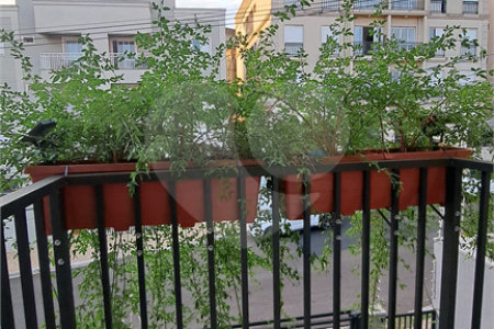 Apartamento à venda com 2 quartos, sendo 1 suíte, em Jardim Botânico, Ribeirão Preto, SP