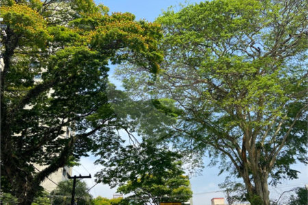 Salão para alugar em Jardim, Santo André, SP