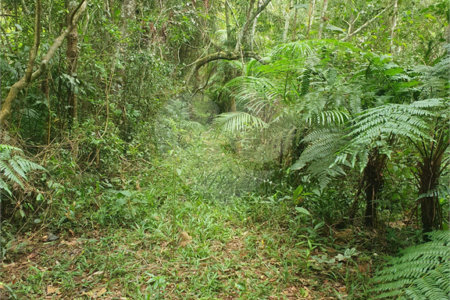 Terreno à venda em Vila Moraes, Mogi das Cruzes, SP