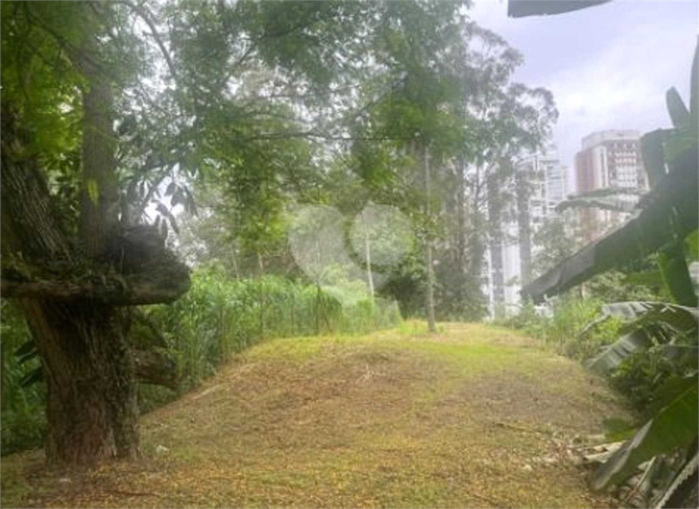 Terreno à venda em Paraíso do Morumbi, São Paulo, SP
