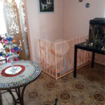 Sobrado à venda com 2 quartos em Freguesia do Ó, São Paulo, SP