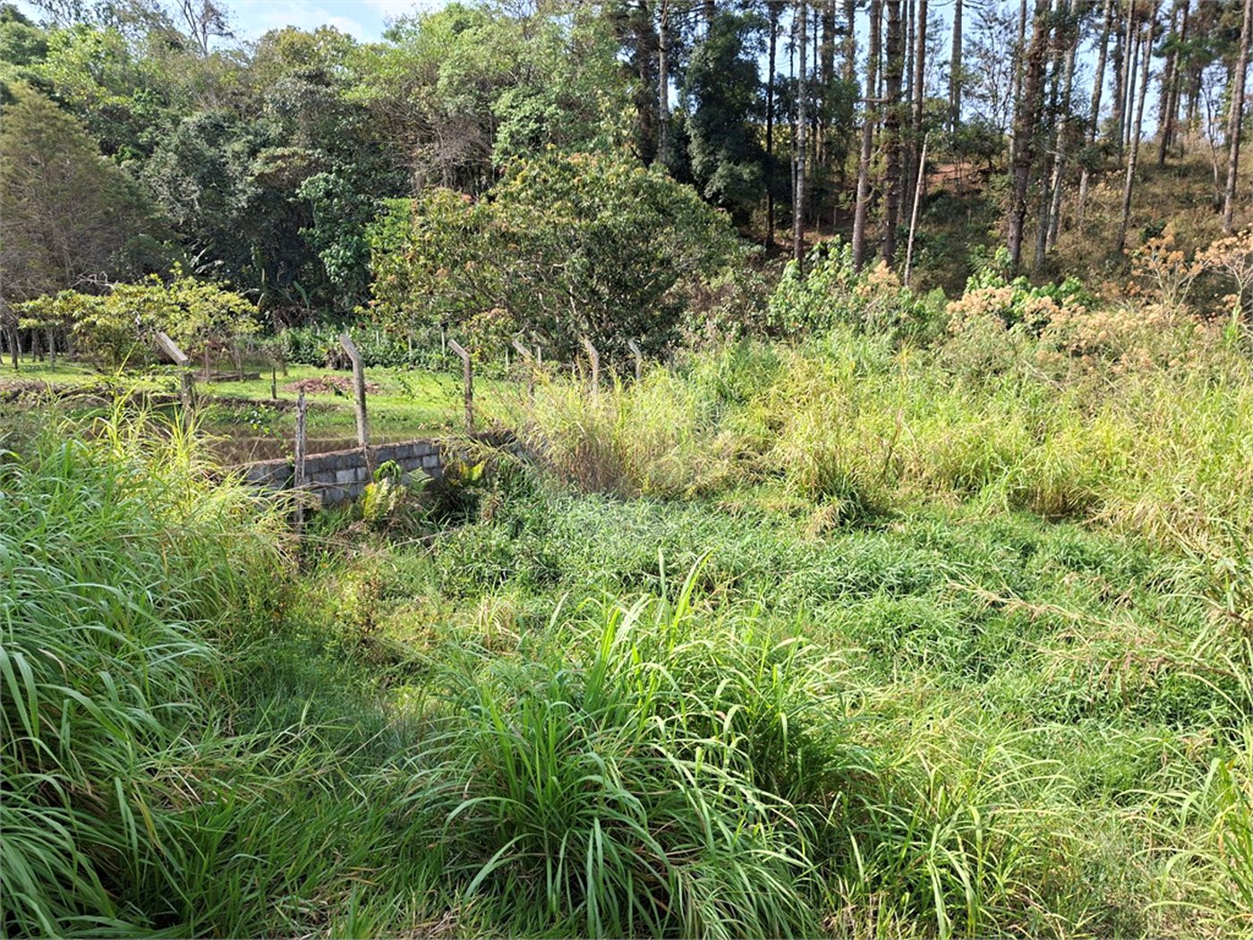Terreno à venda em Chácara Fernão Dias, Bragança Paulista, SP