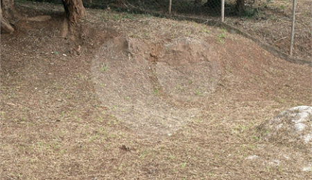 Terreno à venda em Jardim Maristela, Atibaia, SP