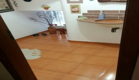 Casa à venda com 3 quartos, sendo 1 suíte, no condomínio Alameda do Eucaliptos, São Paulo - SP