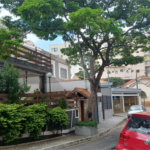 Apartamento à venda com 2 quartos em Vila Gustavo, São Paulo, SP
