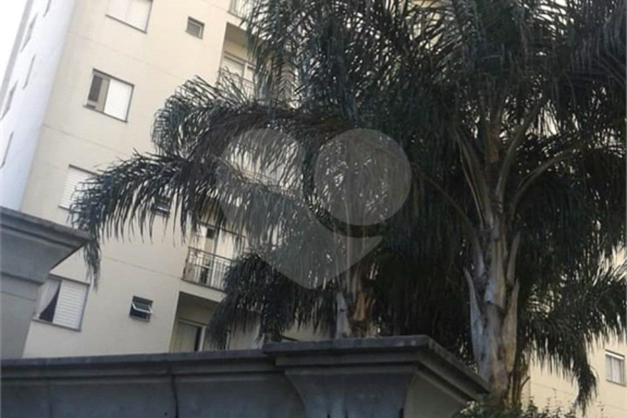 Apartamento para alugar com 2 quartos em Mandaqui, São Paulo, SP