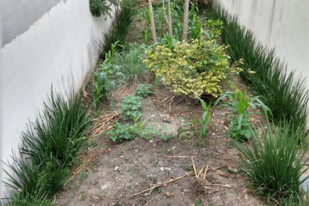Sobrado à venda com 3 quartos, sendo 1 suíte, em Vila Mazzei, São Paulo, SP