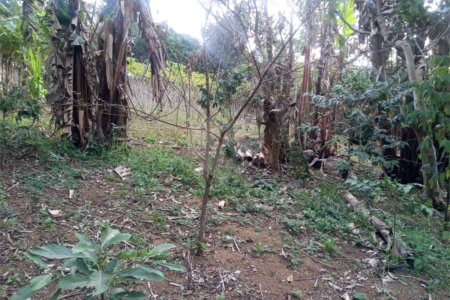 Terreno à venda no condomínio São Marcos, São Paulo - SP