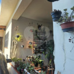 Casa à venda com 5 quartos em Mandaqui, São Paulo, SP