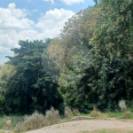 Terreno à venda no condomínio Alpes de Mairiporã, Mairiporã - SP