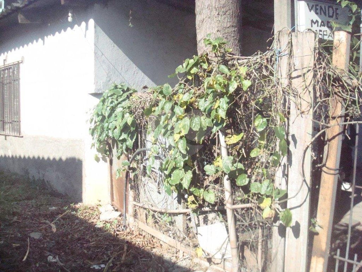 Terreno à venda em Vila Nova Mazzei, São Paulo, SP