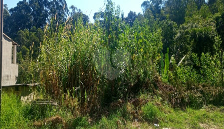 Terreno à venda em Serra da Cantareira, Mairiporã, SP
