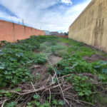 Terreno à venda em Vila Nastri, Itapetininga, SP