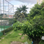 Apartamento à venda com 2 quartos em Pirituba, São Paulo, SP
