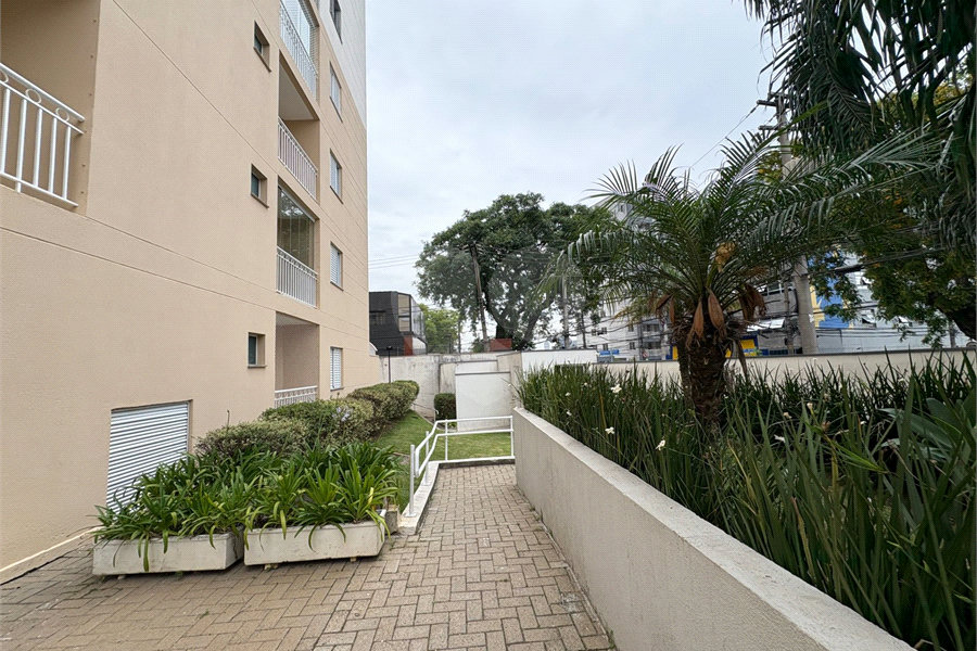 Apartamento à venda com 3 quartos, sendo 1 suíte, em Limão, São Paulo, SP