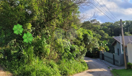 Loteamento à venda em Canjica (terra Preta), Mairiporã, SP