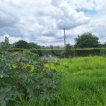 Terreno à venda com 1 suíte em Pinheirinho, Vinhedo, SP