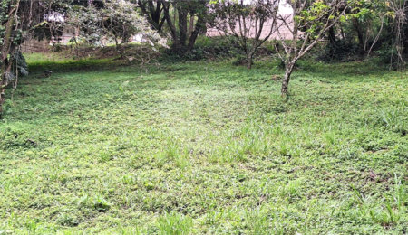 Terreno à venda em Marambaia, Vinhedo, SP