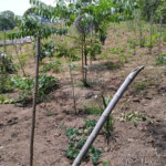 Chácara à venda com 2 quartos em Vila Caputera, Mogi das Cruzes, SP