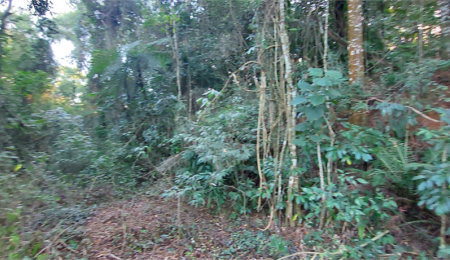 Terreno à venda no condomínio Sausalito, Mairiporã - SP