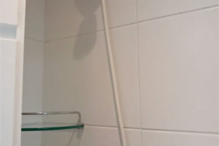 Apartamento à venda com 2 quartos, sendo 1 suíte, em Vila Progredior, São Paulo, SP
