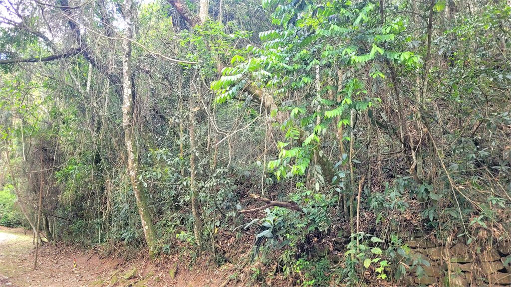 Terreno à venda em Serra da Cantareira, Mairiporã, SP