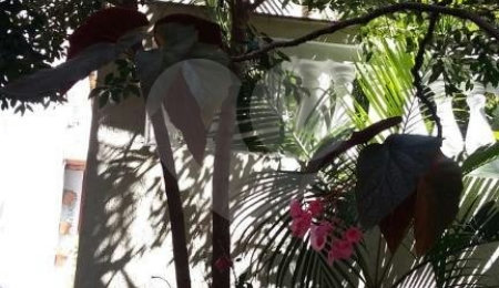 Sobrado à venda com 3 suítes em Santana, São Paulo, SP