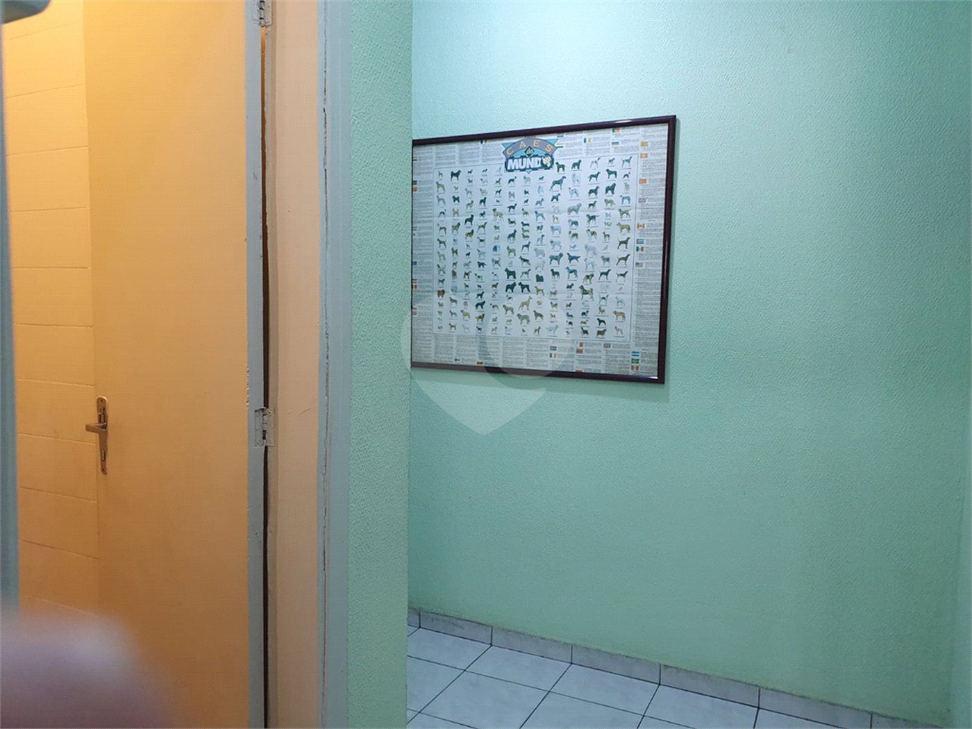Sobrado à venda com 3 quartos em Vila Nova Cachoeirinha, São Paulo, SP