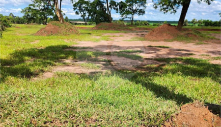 Sítio à venda em Sesmaria Ouro, Araraquara, SP