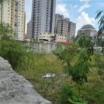Terreno à venda em Chácara Santo Antônio (zona Sul), São Paulo, SP