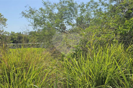 Terreno à venda em Caravelas, Armação dos Búzios, RJ