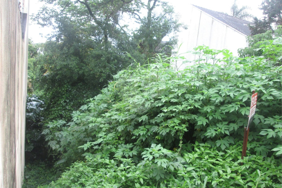 Terreno à venda no condomínio Loteamento Jardim entre Serras, São Paulo - SP