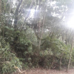Terreno à venda em Suasalito, Mairiporã, SP