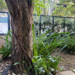 Apartamento à venda com 1 quarto em Alto da Boa Vista, São Paulo, SP