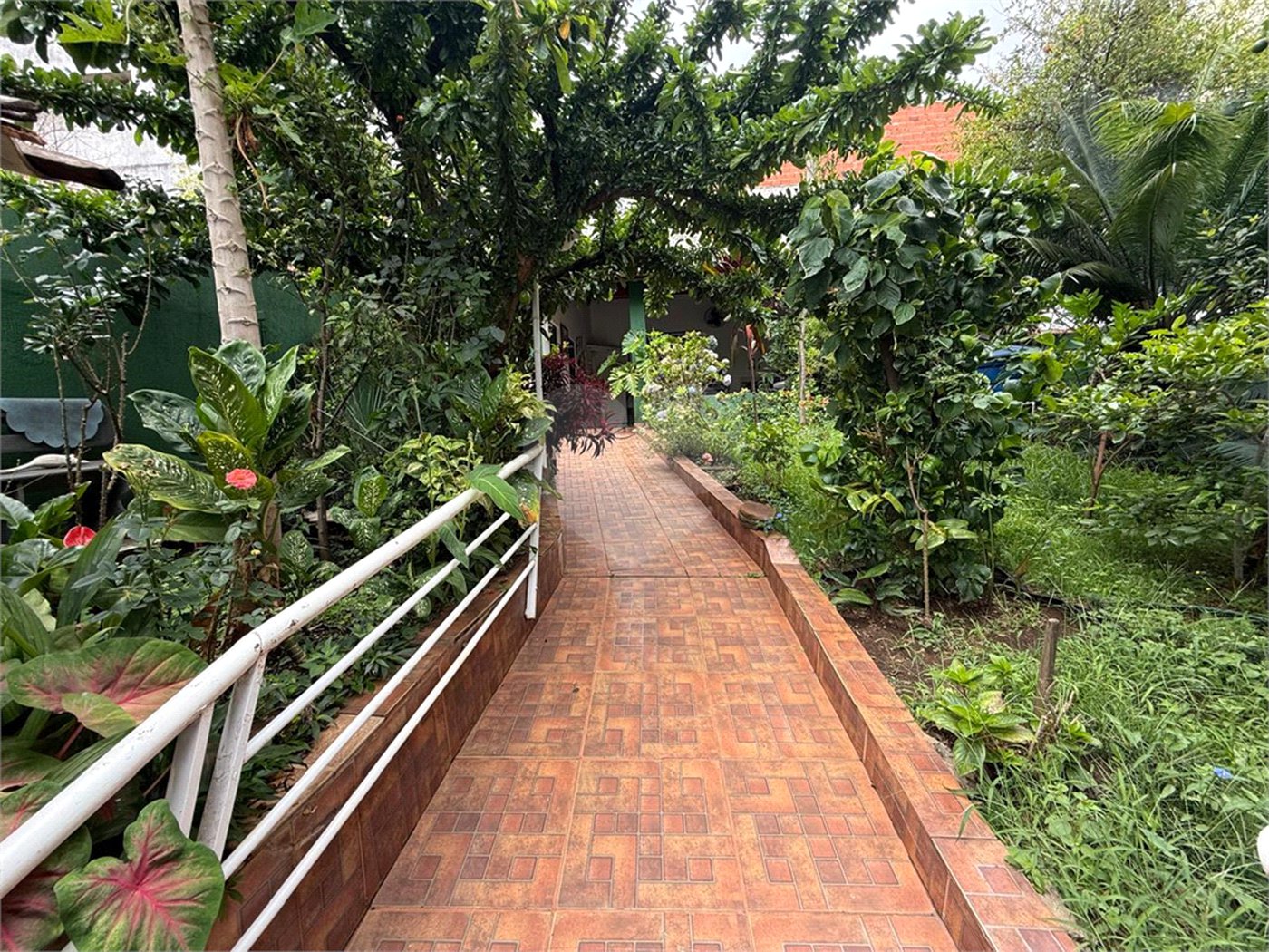 Casa à venda ou para alugar com 4 quartos, sendo 2 suítes, em Vila Mazzei, São Paulo, SP