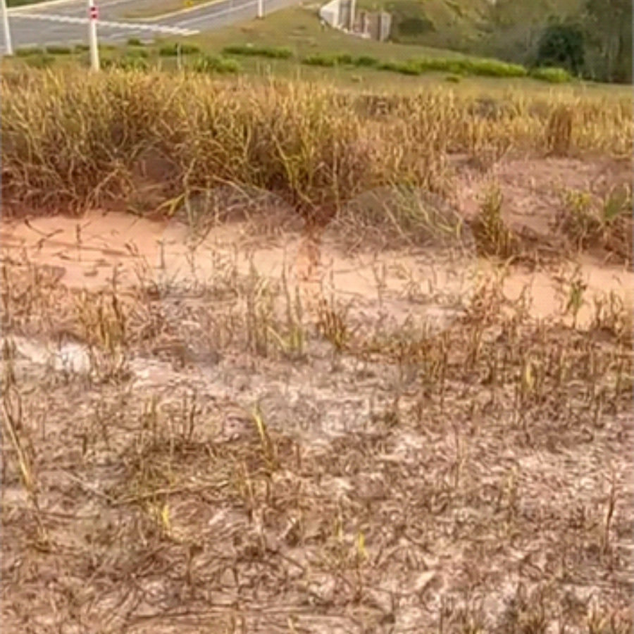 Terreno à venda no condomínio Mosaico Horizontes, Mogi das Cruzes - SP