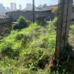 Terreno à venda em Lauzane Paulista, São Paulo, SP