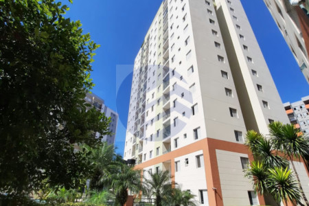 Apartamento à venda com 3 quartos, sendo 1 suíte, em Vila Butantã, São Paulo - SP