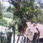 Casa à venda ou para alugar com 4 quartos, sendo 1 suíte, no condomínio Estrada Armando Barbosa ,6300, Mairiporã - SP