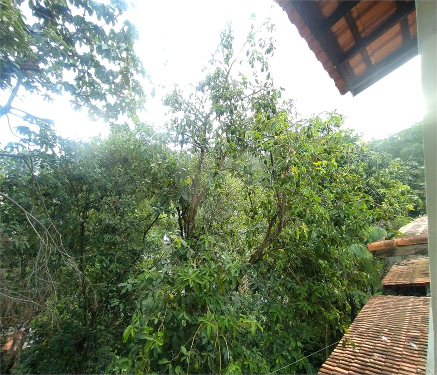 Casa de Vila para alugar com 3 quartos, sendo 1 suíte, em Serra da Cantareira, São Paulo, SP