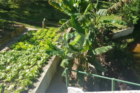 Casa à venda com 5 quartos, sendo 1 suíte,  em Taboão, Mogi das Cruzes, SP