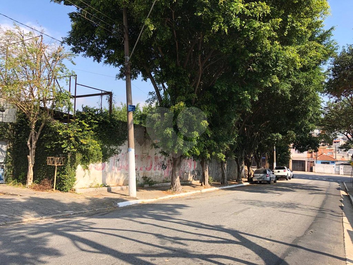 Terreno à venda ou para alugar em Vila Formosa, São Paulo, SP