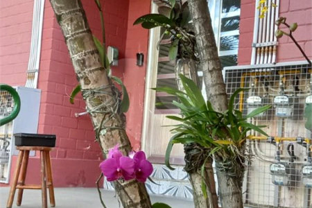 Apartamento à venda com 3 quartos em Barro Branco (zona Norte), São Paulo, SP
