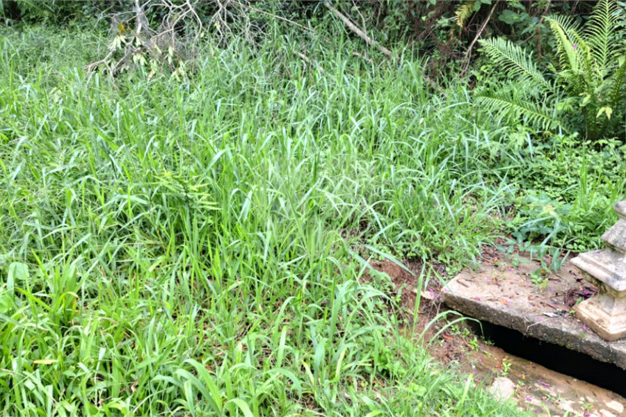 Terreno à venda no condomínio Campos de Mairiporã Gleba 1, Mairiporã - SP