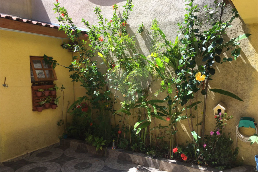 Casa à venda com 2 quartos em Santana, São Paulo, SP
